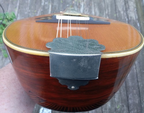 1919 Antique Mandolin by VEGA CO. Boston Bowl Back new set up - Picture 16 of 17