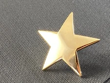 Gold Star Lapel Pin Pins  ~ 3/4" tall ~ (not real gold)