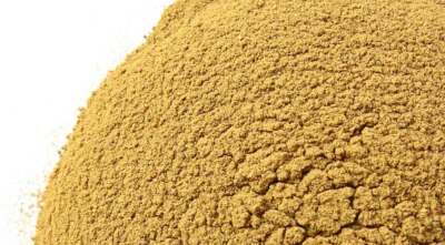 WholeSALE!! Bitter Melon PREMIUM Powder-4 oz, 1, 2, 5 lbs.
