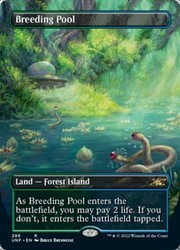 Breeding Pool (Borderless) Unfinity Foil #286