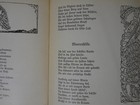 Bild 16 von 18