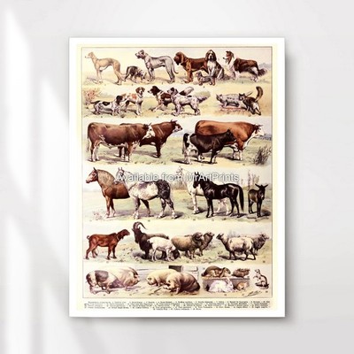 Bauernhof Tiere Kunstdruck Wandbild Poster Deko Landschaft rustikal Bauernhof Küche