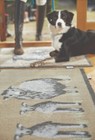 Bild 6 von 6