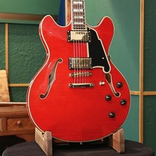 Strap ampaign D Angelico Electric Guitar Semi-Aco Semi-Hollow Excel DC Trans