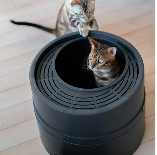 Boxscoop 2.0 lettiera per gatti colore antracite per gatti agili fino a 13 libbre - Foto 1 di 7