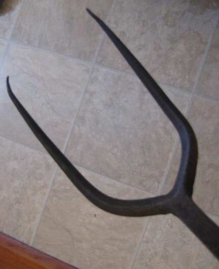 Picture 3 of 4