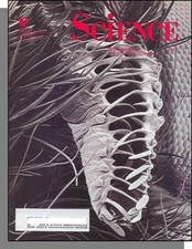 Science - 1995, December 15 - Supernova Maser Emission, Nematic Liquid Crystals