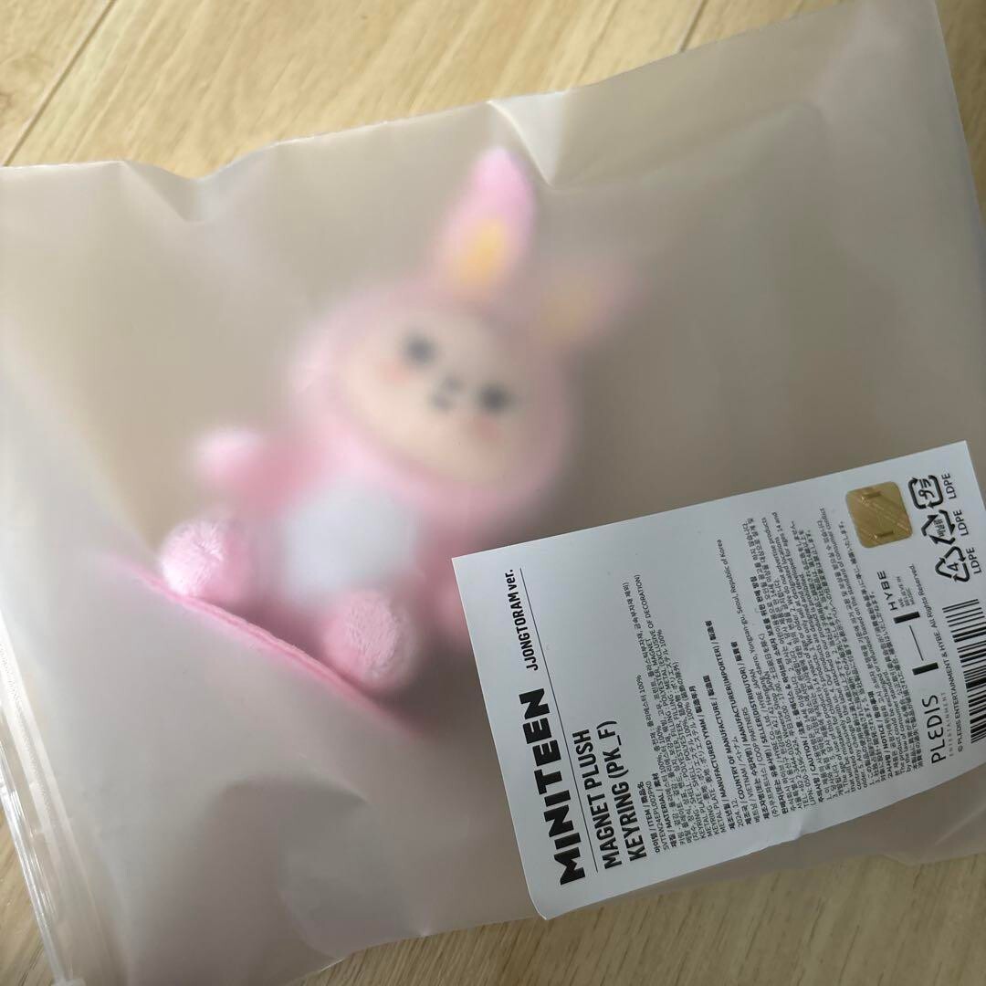 SEVENTEEN MINITEEN JJONGTORAM Magnet Plush Keyring Jeonghan