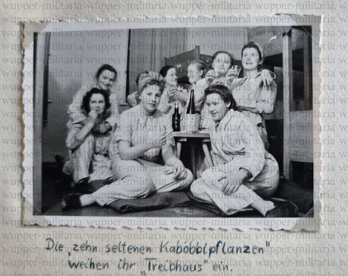 RAD Lager Isenhagen Hankensbüttel Kabobbiepflanzen Treibhaus Schlafanzug A041-36