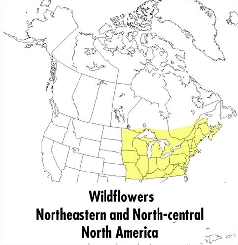Peterson Field Guide To Wildflowers..., Peterson, Roger - Picture 1 of 2