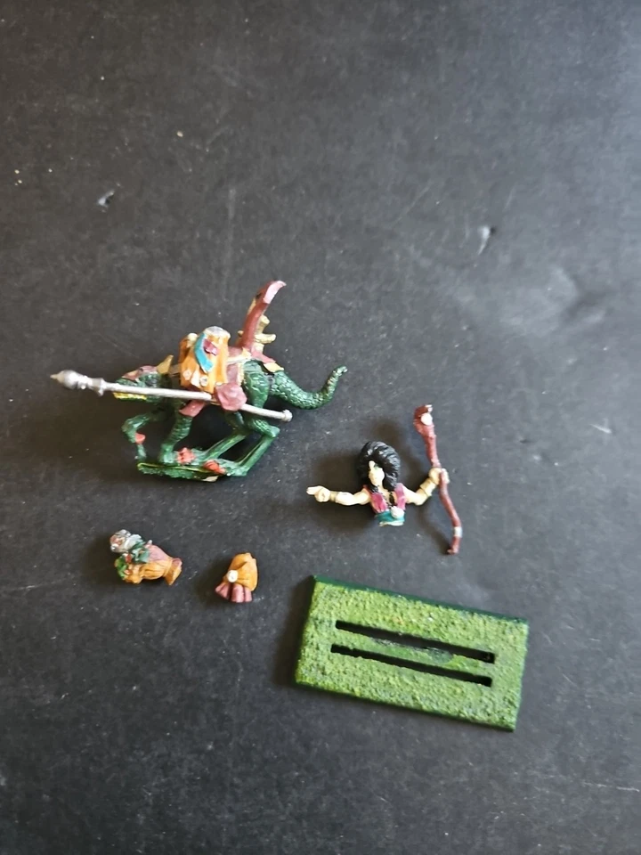 Dark Elf Elves MM74 Heroes Marauder Sorceress Cold One Rider Warhammer Fantasy  - Image 2 of 4