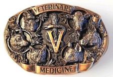 Rare Vintage 1986 Vet Veterinary Medicine Bergamot Brass Works Belt Buckle 