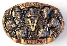 Rare Vintage 1986 Vet Veterinary Medicine Bergamot Brass Works Belt Buckle 