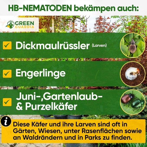 POWER HB-Nematoden gegen Dickmaulrüssler, Engerlinge bekämpfen, GREEN-GUARDIA - Bild 53 von 64