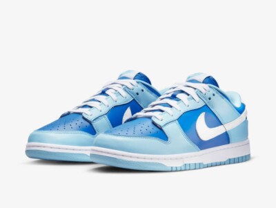 Size 9.5 - Nike Dunk Low Argon