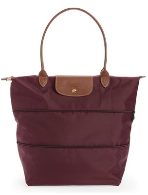 longchamp plum
