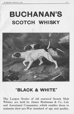 BUCHANAN'S SCOTCH WHISKY Black & White Gun Dogs - Antique Advertisement 1922