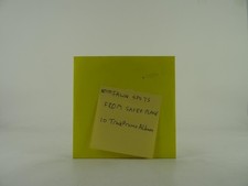 FAWN SPOTS FROM SAFER PLACE (286) 10 Track Promo CD Album including Card Sleeve 