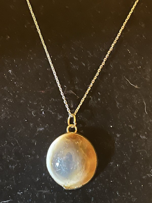 VTG ESTATE 19 Cent Gold PLATED INDIA Gomti Shiva Shell & 18” Necklace Pendant 6g