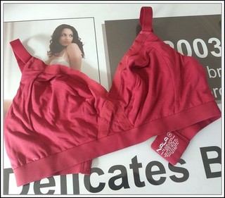 WEARNALA Woman's Size 14G Stunning Sheer Lace Trim Wirefree Bra Burgundy