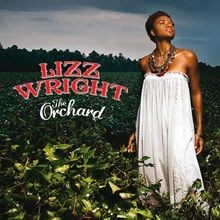 The Orchard  von Wright,Lizz | CD | Zustand sehr gut