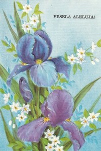 1 card Slovenian EASTER Greeting CARD   Vesela Aleluja