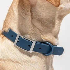 NWT Wild One Navy Adjustable Waterproof Flex-Poly Coated Nylon Dog Collar $40