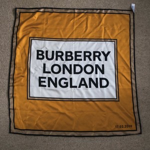 burberry orange scarf