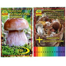 Oferta: Porcini Dry Mycelium Plus Aktywator wzrostu grzybni 