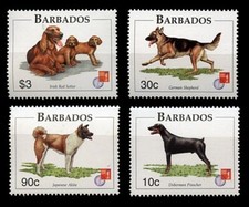 IRISH SETTER DOBERMANN JAPANESE AKITA ALSATIA...