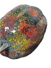 Bild 6 von 12