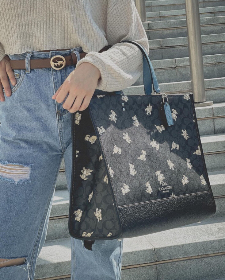 NWT Coach Dempsey Tote 40 In Signature Canvas With Happy Dog Print