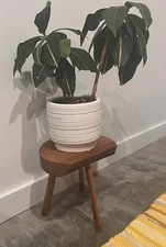 Primative Small Reclaimed Wabi Sabi Farmhouse Plant Stand 10" High Scandinavian