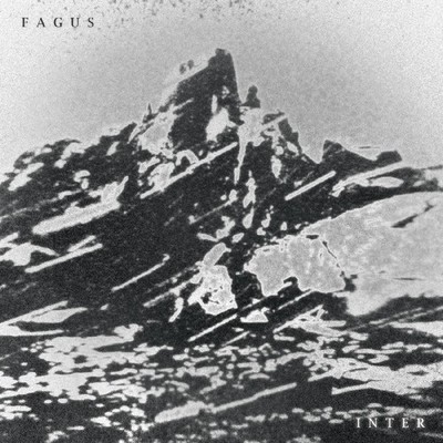 Fagus Inter CD