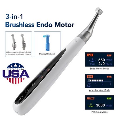 Dental Endo Motor 6:1 +Apex Locator Root Canal+Hygiene Prophy Handpiece 3 in 1