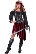 Brand New Queen of the High Seas Pirate Adult Costume