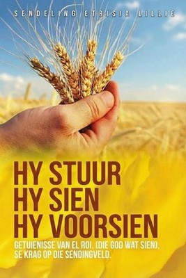 Hy Stuur. Hy Sien. Hy Voorsien: Getuienisse van El Roi(Die God wat sien), se kra