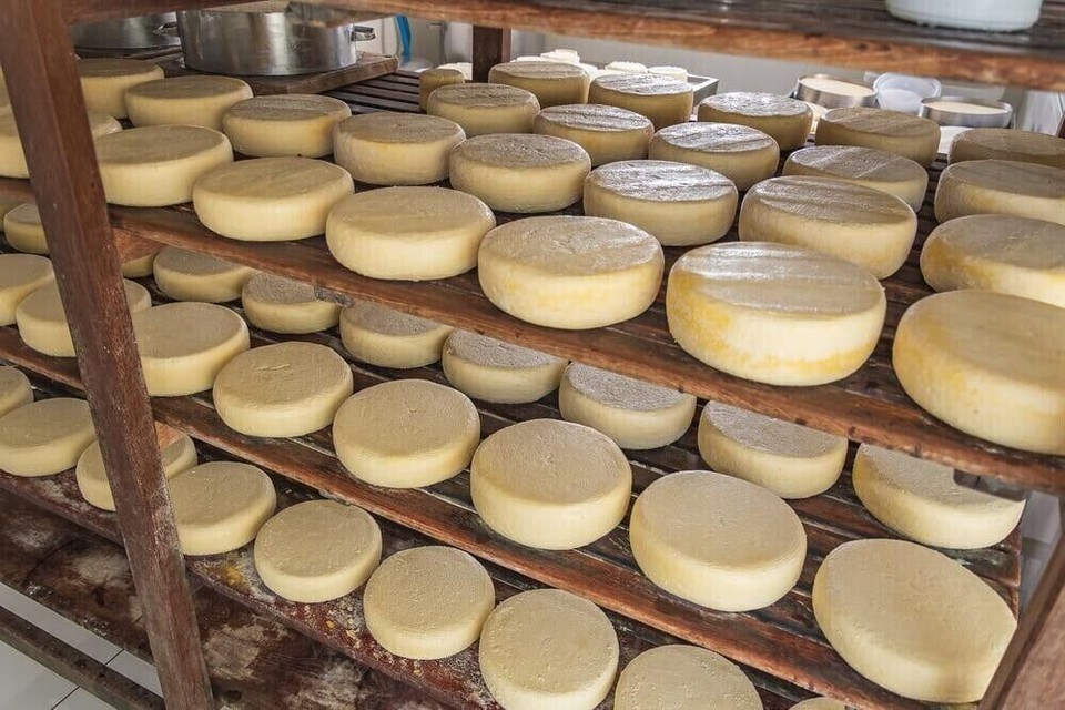 Portugal Cheese Board Cured 3 Cheese Mixed Goat Sheep Cow 270 g 9,53