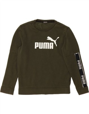 Puma Herren Grafik Sweatshirt Pullover Small Grün Colourblock Baumwolle DQ32