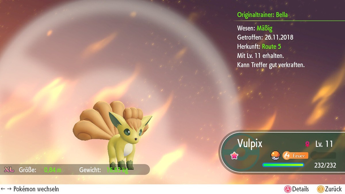 Shiny Koraidon 6IV | LVL 1 | Nat Dex | Pokemon Karmesin / Purpur - Foto 7