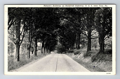 #ad Troy FL Florida Nature#x27;s Archway On Roosevelt Highway Vintage c1950 Postcard $4.99