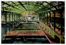 Vintage Postcard 1907-1915 Sutro Baths, San Francisco, California (CA)
