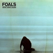 What went down  von Foals | CD | Zustand sehr gut