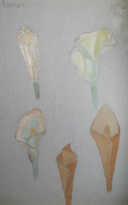 Aquarelle florale - Les Arômes - Signée LEBRUN - 20 mai 1932 - Photo 1/2