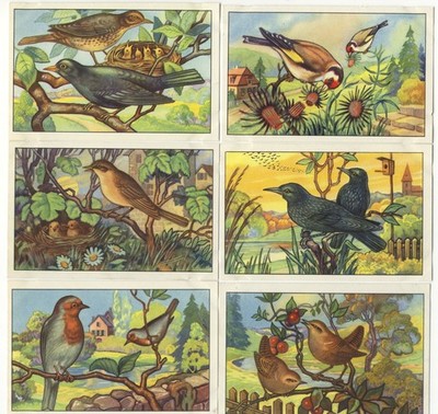 Songbirds Echte Wagner 1930 set of 6 EX-NM