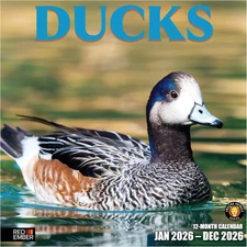Ducks 2026 Wall Calendar 12 Month | Thick & Sturdy Paper | Holiday Gift | Animal