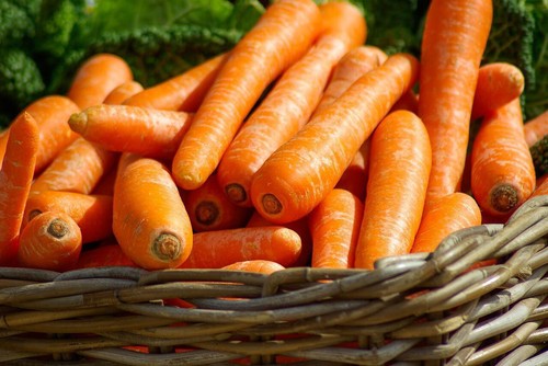 AUTUMN & WINTER VEGETABLE SEEDS PACK-10 PACKETS-GROW YOUR OWN VEGETABLE GARDEN - Picture 13 of 17