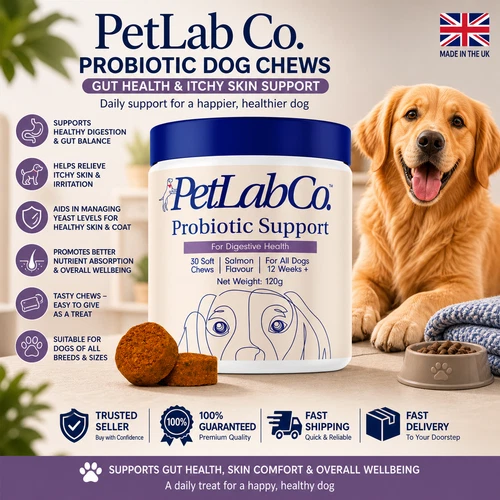 Petlab Co Probiotic Dog Chews Gut Health Support Treats Stop Itchy Skin & Yeast - Picture 2 of 3