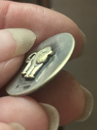 Vintage Antique “frightened Cat” Button. Medium. - Picture 2 of 5