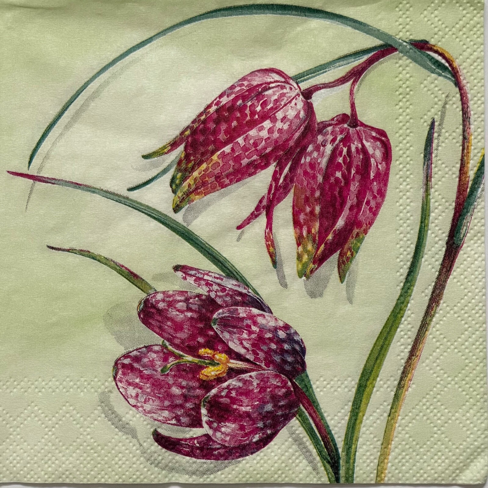 4 Cocktail paper napkins Fritillary Pink Flower Spring for decoupage 25x25